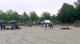 Selectie Hengstveulens dressuur groep 1