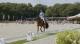 Olympia W en 322. Olivius