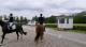 Halve finale Pavo Cup - 4-jarige Dressuurpaarden Groep 3